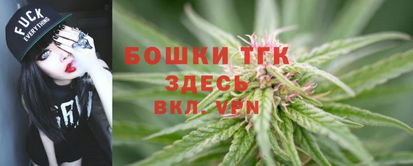 гашик Аркадак