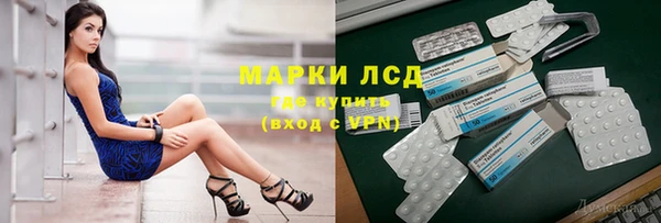 гашик Аркадак