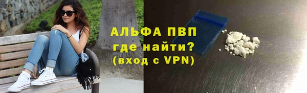 гашик Аркадак