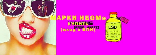дурь Няндома