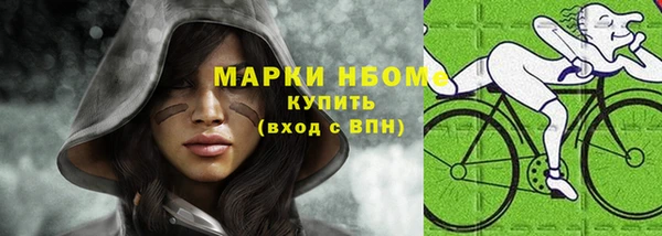 дурь Няндома