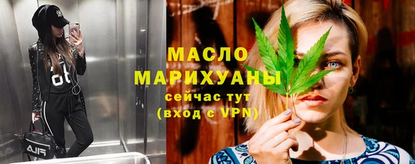 дурь Няндома